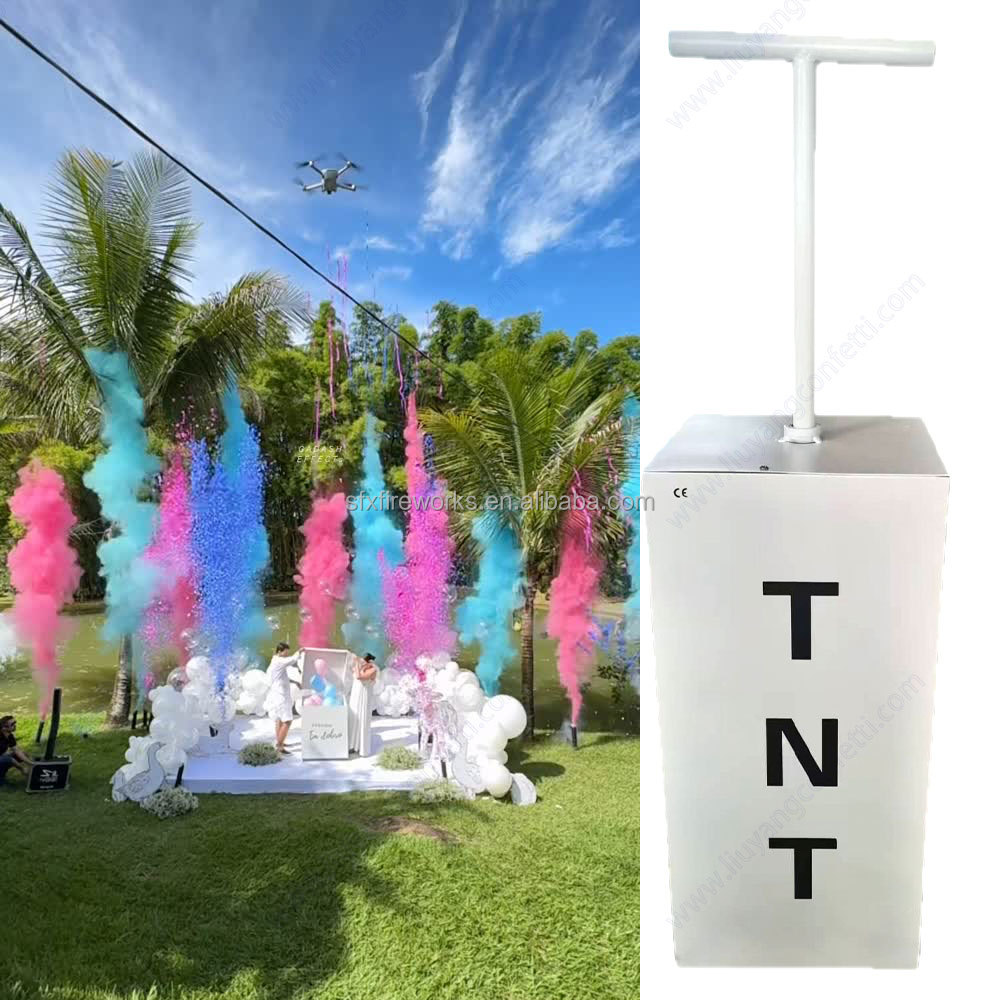 전기식 성별 공개 연막탄 TNT 스타트 리모컨 컨페티  - Confetti Cannon Tube 리뷰 및 가격