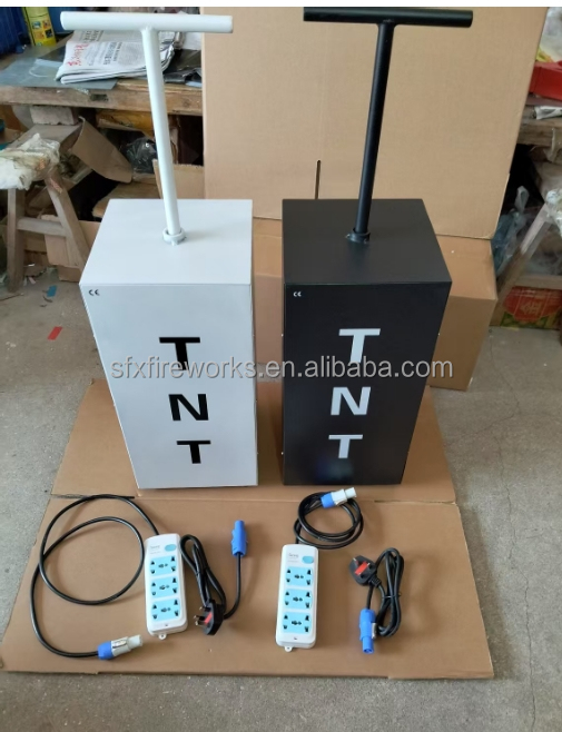 전기식 성별 공개 연막탄 TNT 스타트 리모컨 컨페티  - Confetti Cannon Tube 리뷰 및 가격